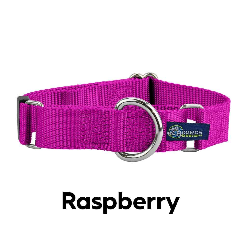 5/8" and 1" Raspberry Nylon Martingale Dog Collar