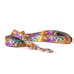 Rainbow Safari Dog Leash