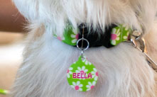 25 Off All Dog Id s Personalized Engraved Id s Hotdogcollars